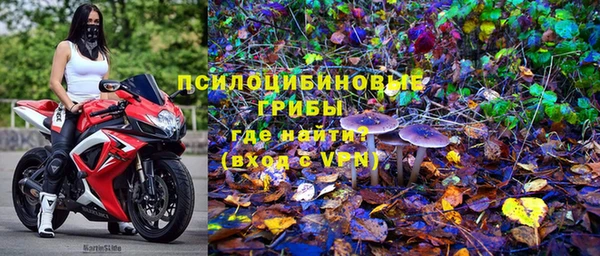 а пвп мука Абаза